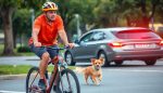 accidente de ciclista por conduccion distraida con mascota abogado