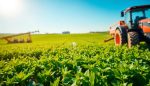 lesiones por objetos lanzados por equipos agricolas prevencion y seguridad